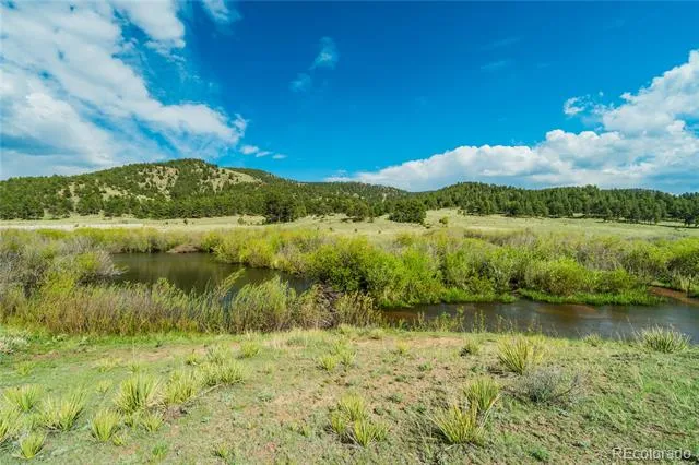 224 Lakeview Forest Heights Florissant, CO 80816