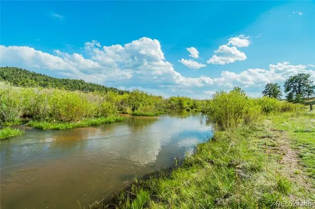 224 Lakeview Forest Heights Florissant, CO 80816