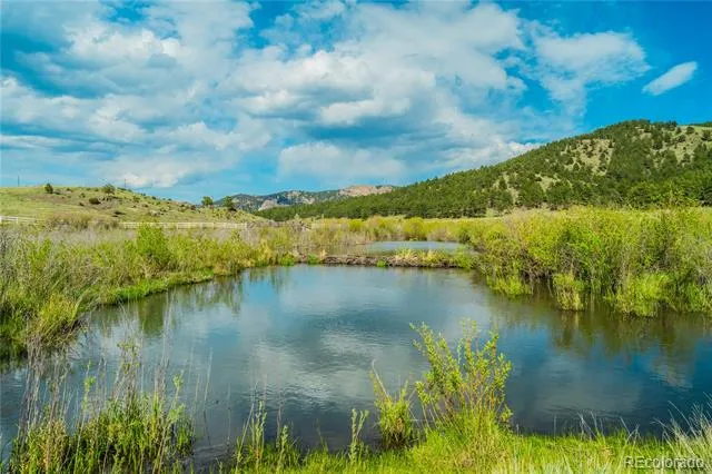 224 Lakeview Forest Heights Florissant, CO 80816