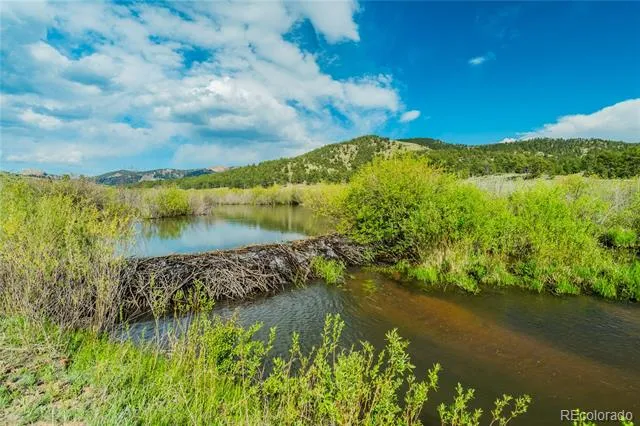 224 Lakeview Forest Heights Florissant, CO 80816