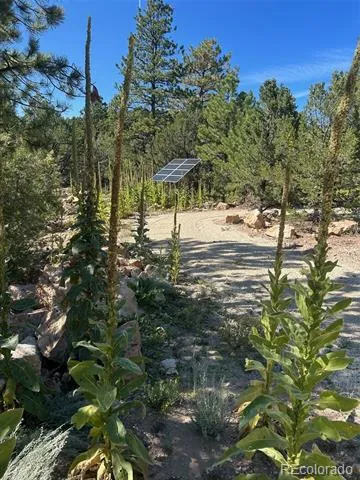 1380&1410 Oak Drive Westcliffe, CO 81252