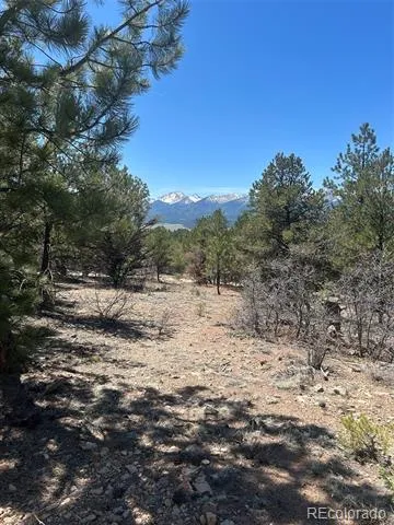 1380&1410 Oak Drive Westcliffe, CO 81252