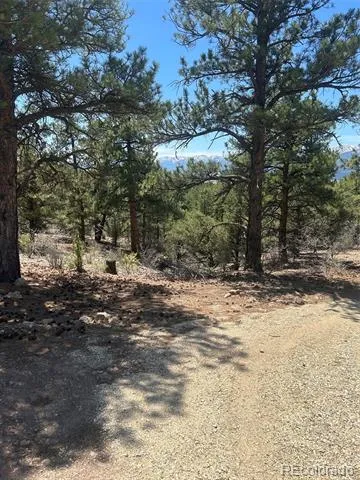 1380&1410 Oak Drive Westcliffe, CO 81252