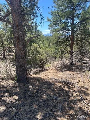1380&1410 Oak Drive Westcliffe, CO 81252