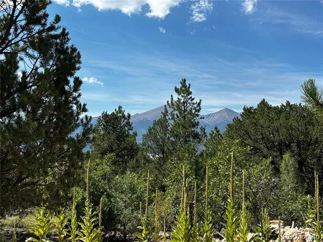 1380&1410 Oak Drive Westcliffe, CO 81252