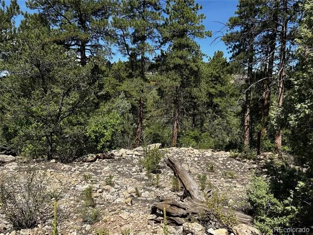 1380&1410 Oak Drive Westcliffe, CO 81252