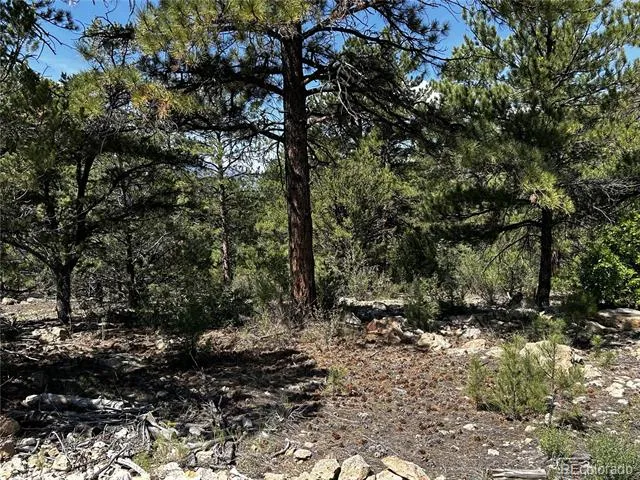 1380&1410 Oak Drive Westcliffe, CO 81252