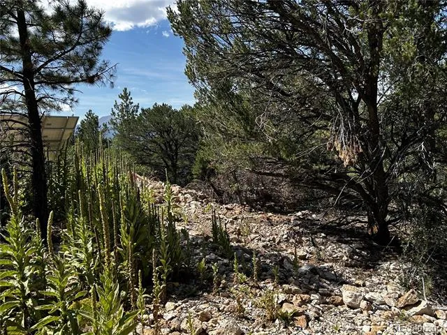 1380&1410 Oak Drive Westcliffe, CO 81252
