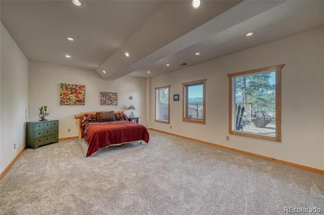 2613 Pheasant Loop Westcliffe, CO 81252