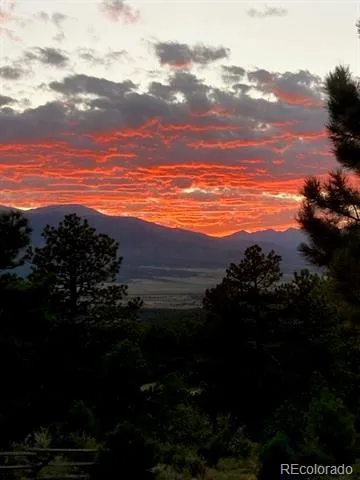 2613 Pheasant Loop Westcliffe, CO 81252