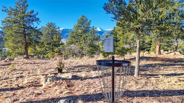 2613 Pheasant Loop Westcliffe, CO 81252