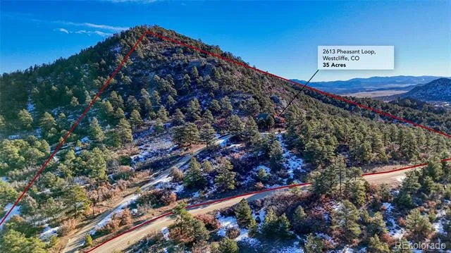 2613 Pheasant Loop Westcliffe, CO 81252