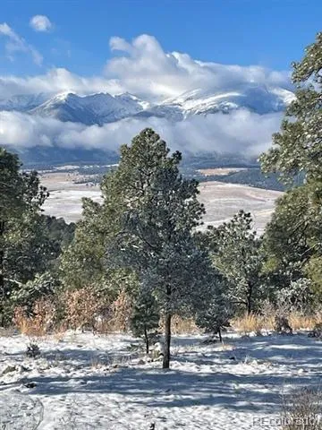 2613 Pheasant Loop Westcliffe, CO 81252