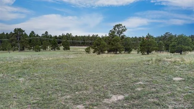 11809 Flap Jack Lane Colorado Springs, CO 80908