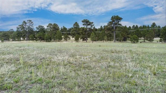 11809 Flap Jack Lane Colorado Springs, CO 80908