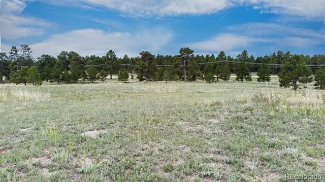 11809 Flap Jack Lane Colorado Springs, CO 80908