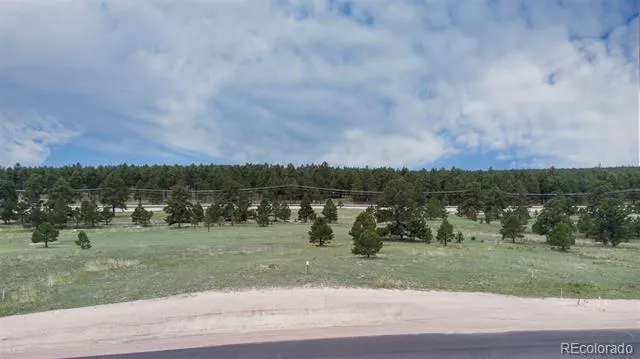 11809 Flap Jack Lane Colorado Springs, CO 80908