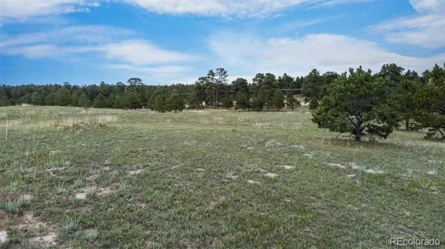 11809 Flap Jack Lane Colorado Springs, CO 80908