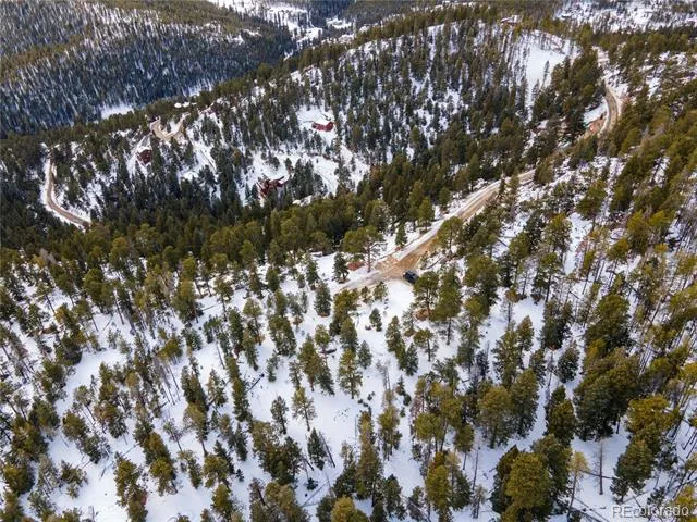 32593 Lodgepole Drive Evergreen, CO 80439