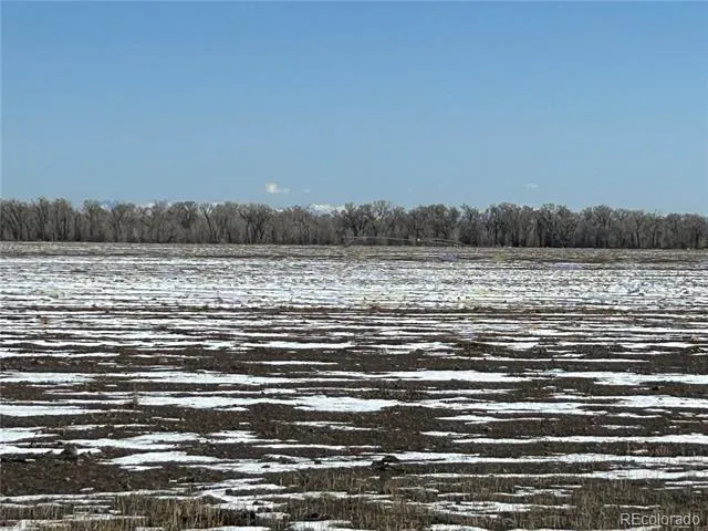 14355 County Road G.5 Tract 4 Antonito, CO 81120