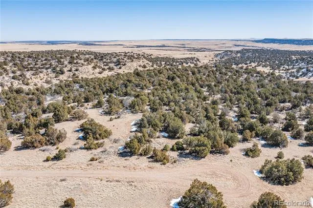 Ghost River Ranch Rye, CO 81089