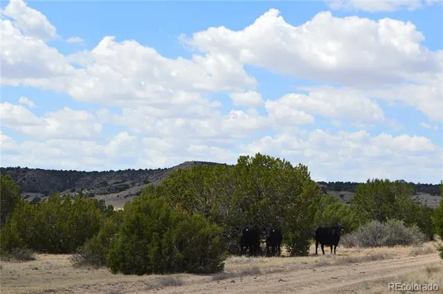 000 Claymine Road Rye, CO 81069