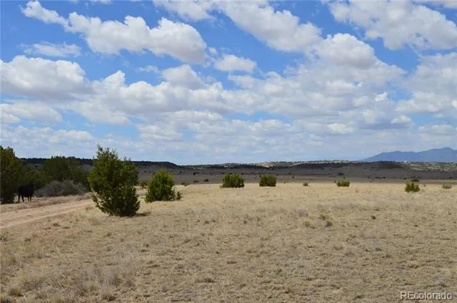 000 Claymine Road Rye, CO 81069