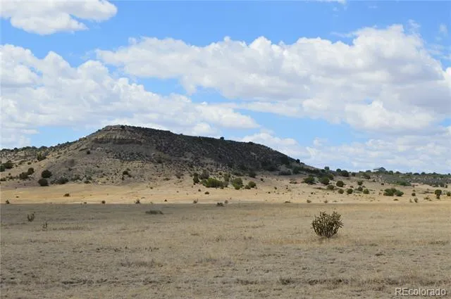 000 Claymine Road Rye, CO 81069