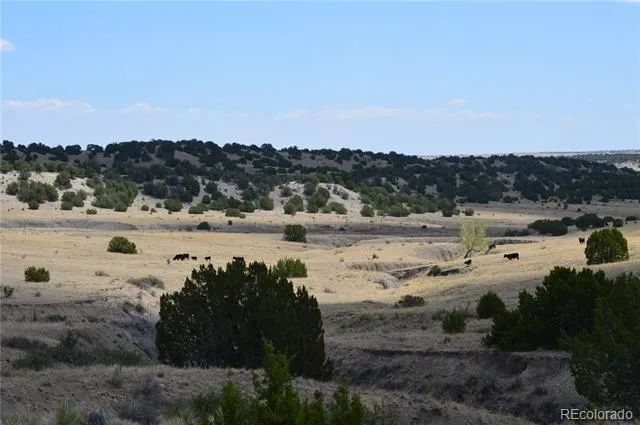 000 Claymine Road Rye, CO 81069