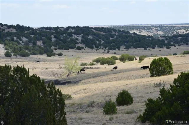 000 Claymine Road Rye, CO 81069