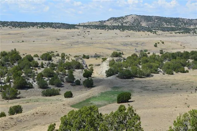 000 Claymine Road Rye, CO 81069
