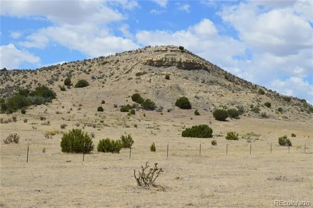 000 Claymine Road Rye, CO 81069