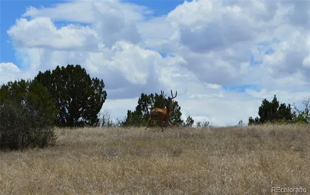 000 Claymine Road Rye, CO 81069