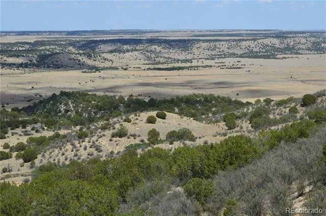 000 Claymine Road Rye, CO 81069