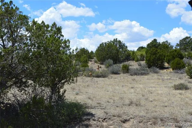 000 Claymine Road Rye, CO 81069