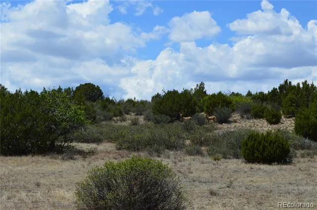 000 Claymine Road Rye, CO 81069