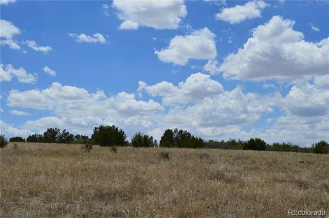000 Claymine Road Rye, CO 81069