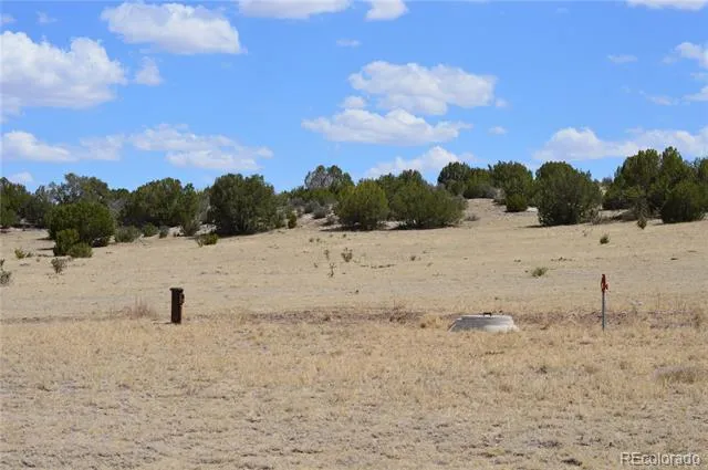 000 Claymine Road Rye, CO 81069