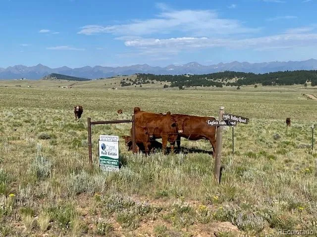 Eagles Gate Road Westcliffe, CO 81252