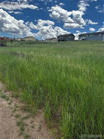 1298 Will Scarlet Drive Divide, CO 80814