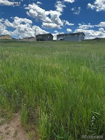 1298 Will Scarlet Drive Divide, CO 80814