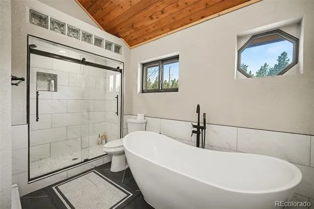71 Wildewood Drive Nederland, CO 80466