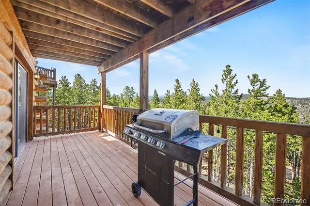 71 Wildewood Drive Nederland, CO 80466