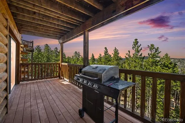71 Wildewood Drive Nederland, CO 80466