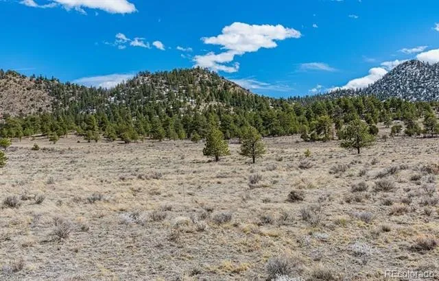 Lot 36 Marcey Road Westcliffe, CO 81252