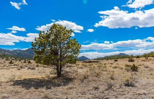 Lot 36 Marcey Road Westcliffe, CO 81252
