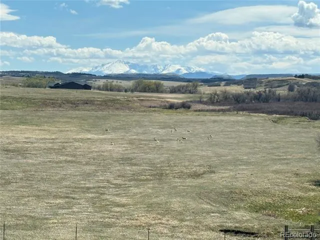 4166 S Castlewood Canyon Road Castle Rock, CO 80104