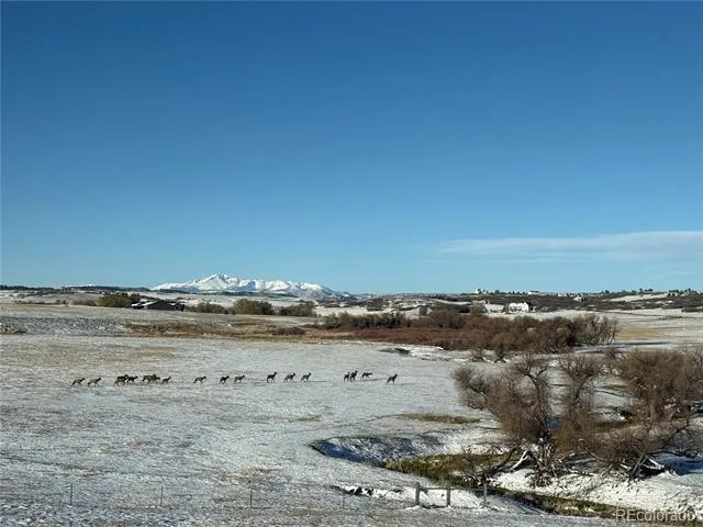 4166 S Castlewood Canyon Road Castle Rock, CO 80104