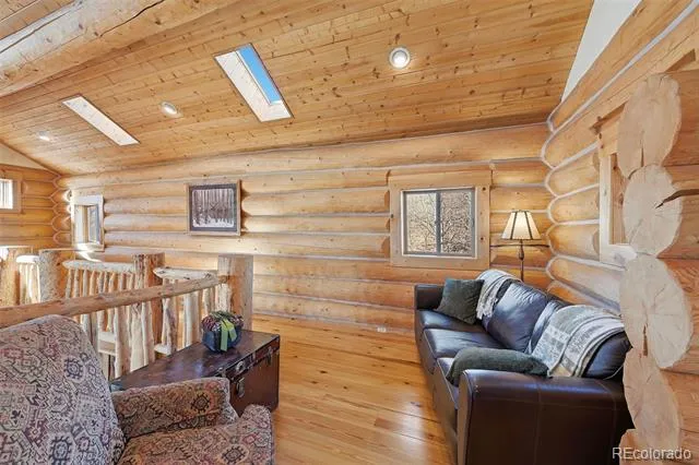 252 Iron Mountain Road Fairplay, CO 80440