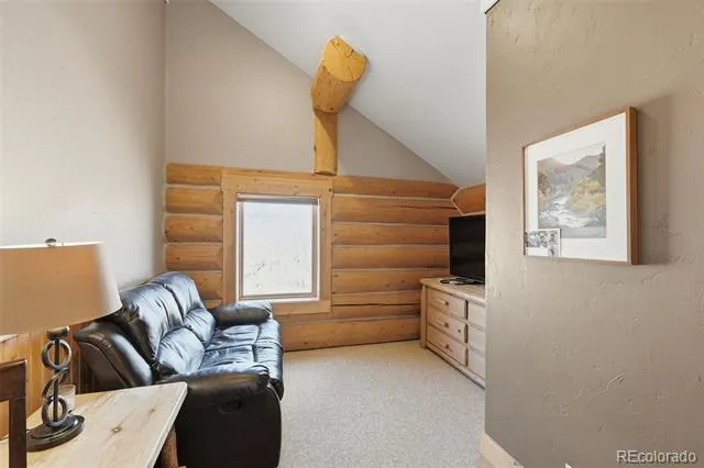 252 Iron Mountain Road Fairplay, CO 80440